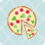 fast-food-italian-junk-pizza-icon