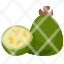 feijoasfruit-food-organic-vegan-healthy-diet-vegetarian-restaurant-icon