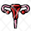 female-reproductive-medical-uterus-woman-icon