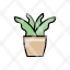 fern-indoor-garden-plant-environment-houseplant-icon
