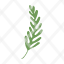 fern-plant-nature-icon