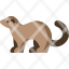ferret-icon