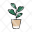 fiddle-leaf-fig-garden-plant-environment-houseplant-ficus-lyrata-icon