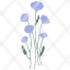 field-scabious-plant-nature-icon