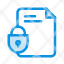 file-document-lock-security-internet-icon