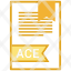 file-format-ace-document-icon
