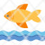 fish-food-seafood-sea-fishing-icon