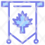 flag-canada-leaf-sign-tag-icon