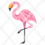flamingo-animal-cute-forest-garden-bird-icon