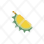flat-icon-durian-icon
