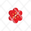 flat-icon-geranium-icon