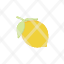 flat-icon-lemon-icon