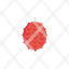 flat-icon-lychee-icon