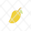 flat-icon-mango-icon