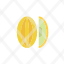 flat-icon-melon-icon