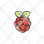 flat-icon-raspberry-icon
