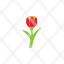 flat-icon-tulip-icon