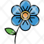flax-flower-seed-seeds-fresh-icon