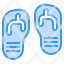 flip-flop-footware-sandals-travel-fashion-icon