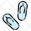 flip-flops-footwear-shoe-icon