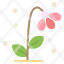 flora-floral-flower-nature-spring-icon