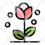 flora-floral-flower-nature-spring-icon