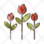 floral-flower-garden-leaf-nature-icon
