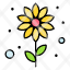 flower-bloom-summer-flowerbeach-plant-season-icon