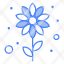 flower-bloom-summer-flowerbeach-plant-season-icon