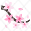flower-cherry-blossom-japanese-spring-floral-sakura-icon