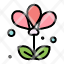 flower-floral-nature-spring-icon