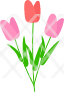 flower-fulip-mothers-day-bunch-bouquet-icon