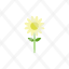 flower-garden-gardening-nature-plant-icon