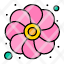 flower-gras-mardi-sunflower-icon