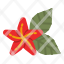 flower-hawaii-flowers-tropical-cultures-icon