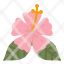 flower-hibiscus-hawaiian-summer-cultures-icon