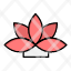 flower-india-lotus-plant-icon