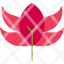flower-lily-lotus-meditation-yoga-beauty-blossom-icon