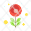 flower-macro-tulip-icon