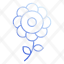 flower-nature-plant-blossom-floral-garden-spring-decoration-background-icon