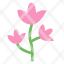 flower-nature-plant-floral-spring-blossom-rose-tulip-garden-love-icon