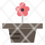 flower-nature-pot-present-icon