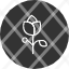 flower-plant-rose-spring-icon