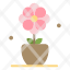 flower-present-tulip-spring-icon