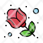 flower-red-rose-gift-icon
