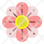 flower-spring-nature-romance-home-icon
