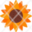 flower-sunflower-blossom-spring-nature-season-icon