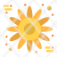 flower-sunflower-thanksgiving-icon