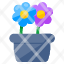 flowers-floweret-blossom-flowerpot-nature-icon