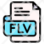 flv-file-type-format-extension-document-icon